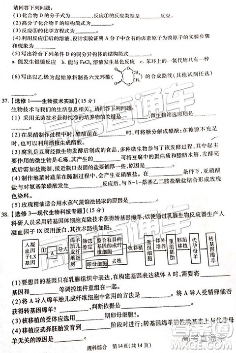 2019年宝鸡三模文理综试题及参考答案
