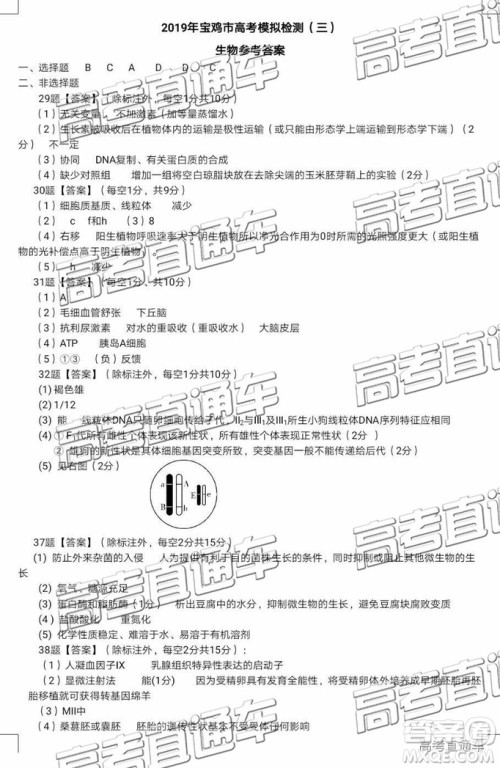 2019年宝鸡三模文理综试题及参考答案