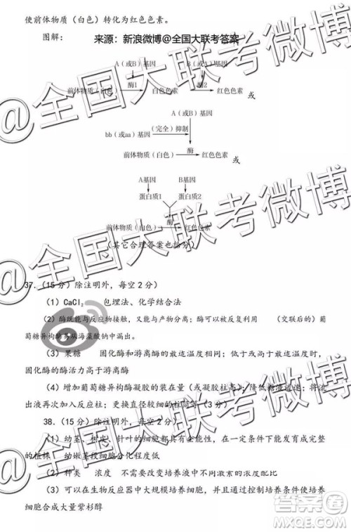 2019年燕博园高三综合能力测试题CAT三文理综参考答案 2019年燕博园高三综合能力测试题CAT三文理综参考答案