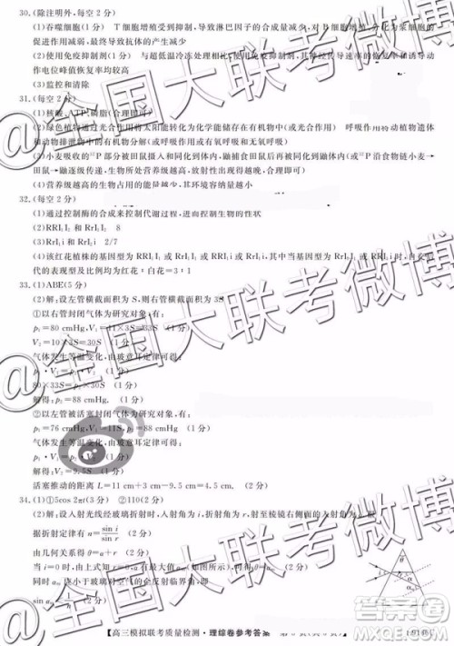 2019年绥化市统考高三模拟考试文理综参考答案