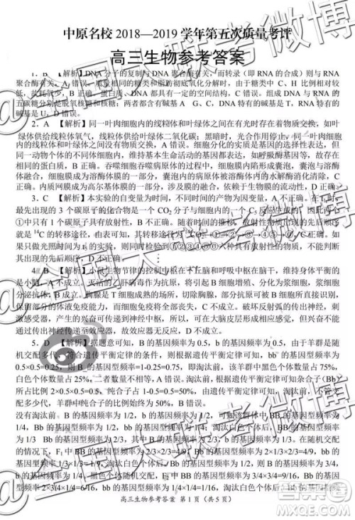 2019年中原名校高三第五次测评文理综参考答案 2019年中原名校高三第五次测评文理综参考答案