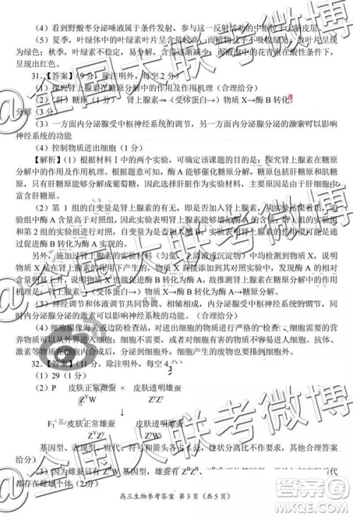 2019年中原名校高三第五次测评文理综参考答案 2019年中原名校高三第五次测评文理综参考答案