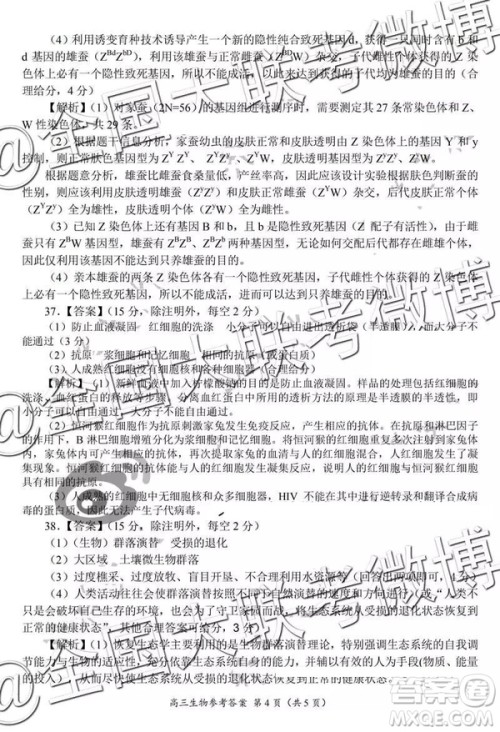 2019年中原名校高三第五次测评文理综参考答案 2019年中原名校高三第五次测评文理综参考答案