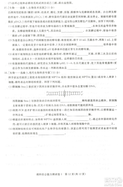 2019年普通高等学校招生全国统一考试押题卷一理科综合答案 2019年普通高等学校招生全国统一考试押题卷一理科综合答案