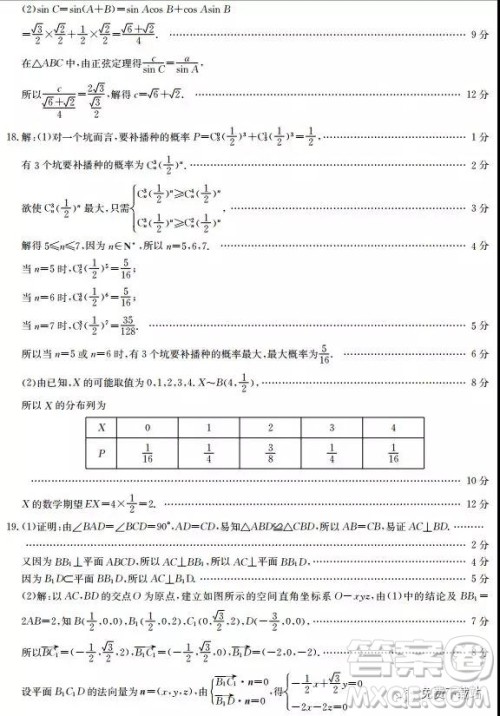 2019年河北省高三阶段性调研考试理数试题及参考答案 2019年河北省高三阶段性调研考试理数试题及参考答案
