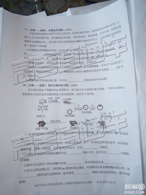 2019年汕头二模理综试题及参考答案