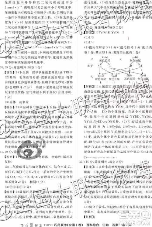 2019年百校联盟TOP20四月联考全国Ⅰ卷文理综参考答案