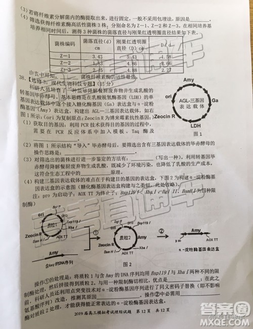 2019年惠州一模理综试题及参考答案 2019年惠州一模理综试题及参考答案