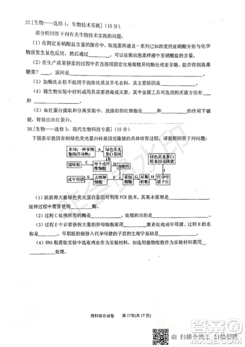 2019年宁夏银川市高三质量检测理综试题及答案