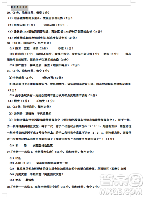 2019年宁夏银川市高三质量检测理综试题及答案 2019年宁夏银川市高三质量检测理综试题及答案