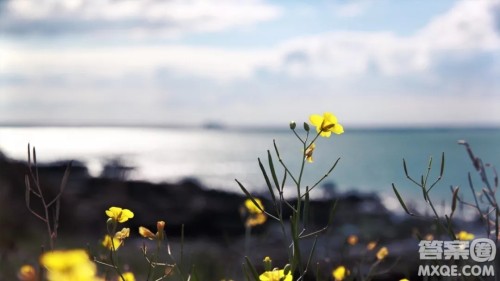 以扫一扫为题作文 关于扫一扫的作文600字 以扫一扫为题作文 关于扫一扫的作文600字