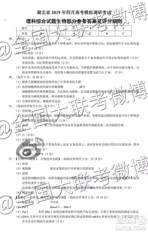 湖北省2019年四月高考模拟调研考试文理综答案解析 湖北省2019年四月高考模拟调研考试文理综答案解析