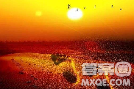 道虽迩不行不至事虽小不为作文800字 关于道虽迩不行不至事虽小不为不成作文 道虽迩不行不至事虽小不为作文800字 关于道虽迩不行不至事虽小不为不成作文