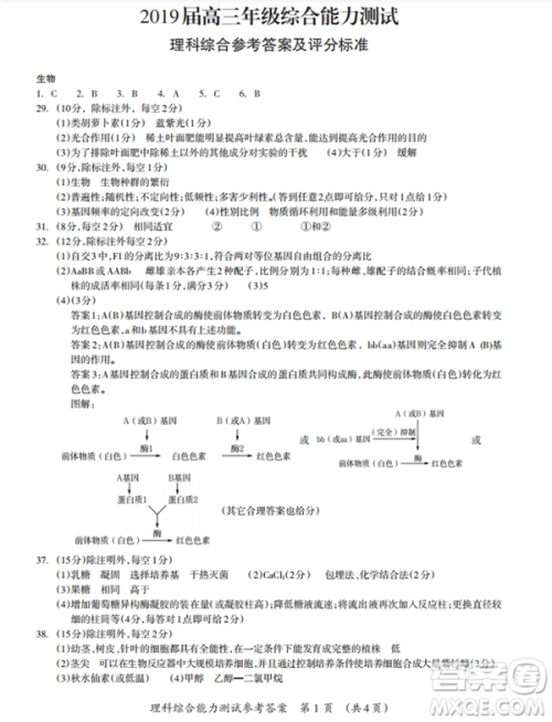 2019年广西钦州三模文理综试题及参考答案