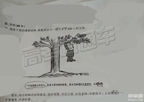 2019年泰安二模语文试题及参考答案 2019年泰安二模语文试题及参考答案
