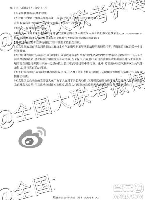 2019年高考名校联考冲刺卷文理综参考答案 2019年高考名校联考冲刺卷文理综参考答案