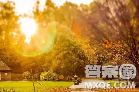 关于莫言举办书法展的作文800字 莫言举办书法展作文 关于莫言举办书法展的作文800字 莫言举办书法展作文