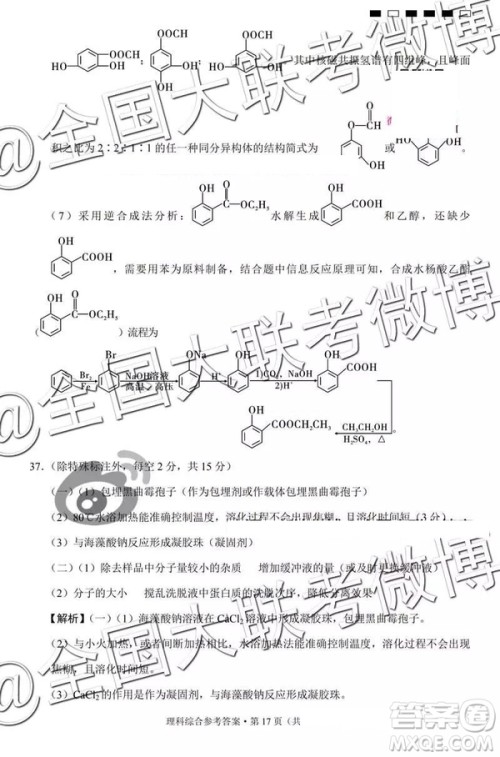 贵阳第一中学2019届高考适应性月考卷七文理综参考答案