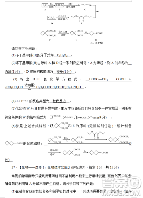 2019年炎德大联考湖南师大附中高三月考试卷七文理综试题及答案
