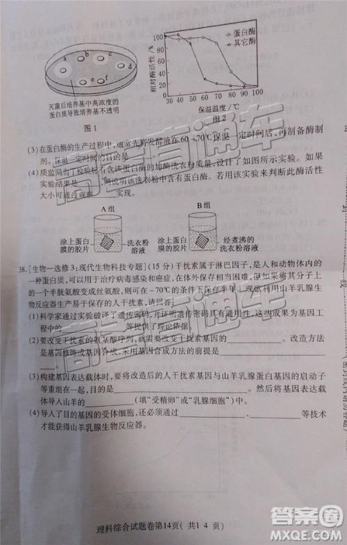 2019年淮北二模文理综试题及参考答案