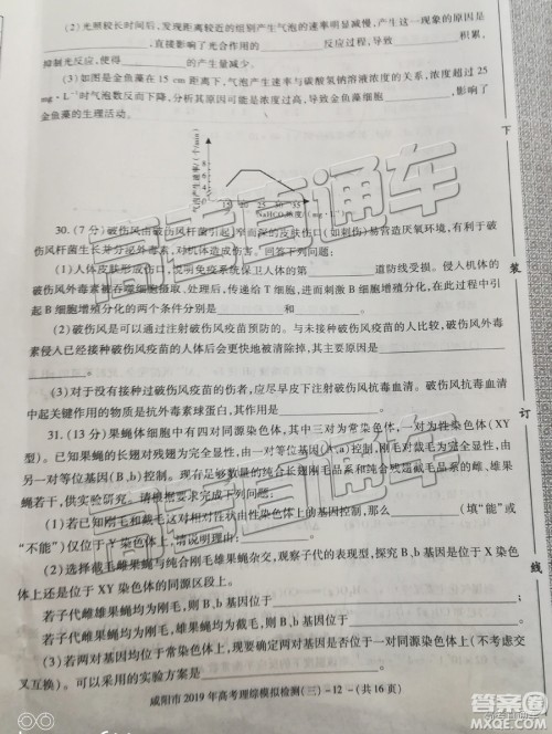 2019年高三咸阳三模文理综试题及参考答案 2019年高三咸阳三模文理综试题及参考答案