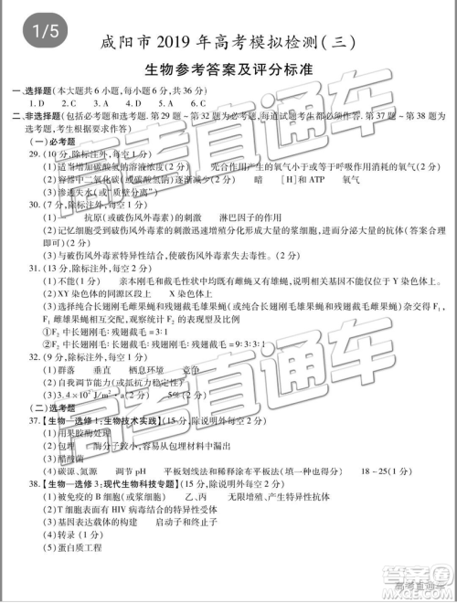 2019年高三咸阳三模文理综试题及参考答案 2019年高三咸阳三模文理综试题及参考答案