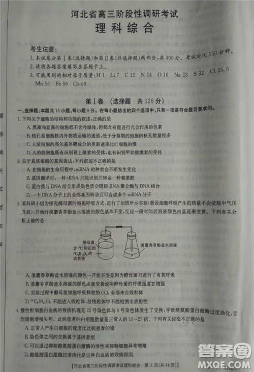 2019年河北省高三阶段性调研考试四月联考理综试题及答案