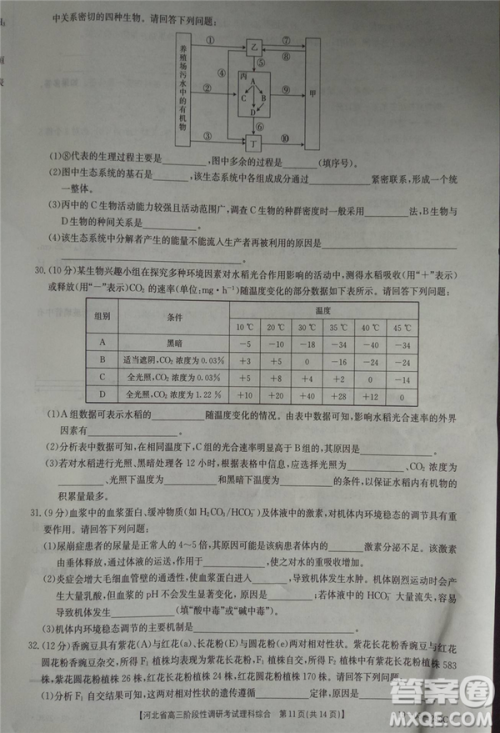 2019年河北省高三阶段性调研考试四月联考理综试题及答案