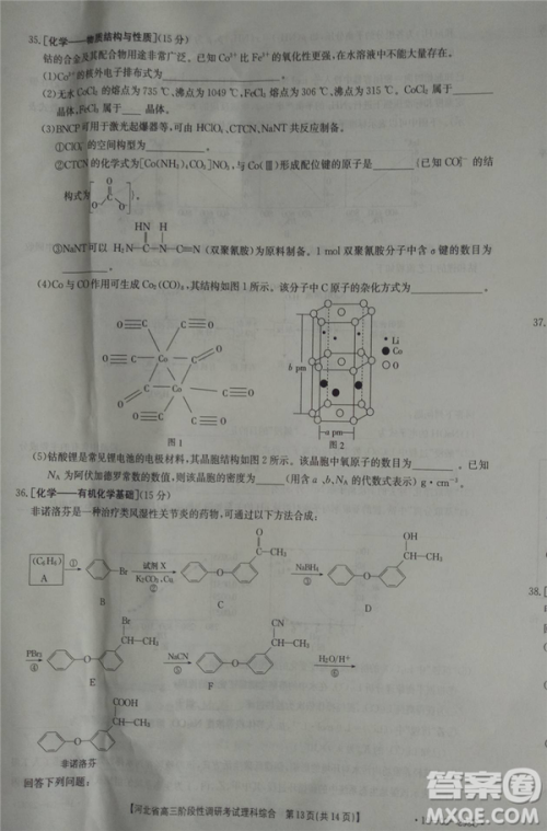 2019年河北省高三阶段性调研考试四月联考理综试题及答案