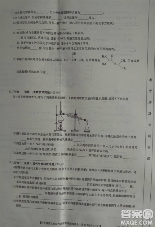 2019年河北省高三阶段性调研考试四月联考理综试题及答案