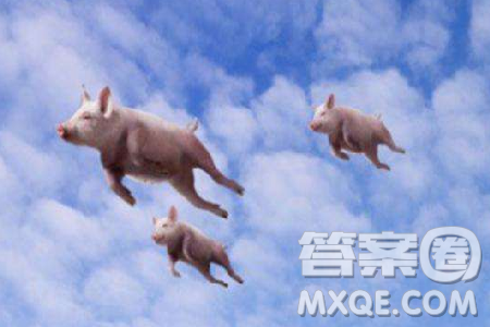 如何选择自己的创业路作文800字 关于如何选择自己的创业路作文 如何选择自己的创业路作文800字 关于如何选择自己的创业路作文