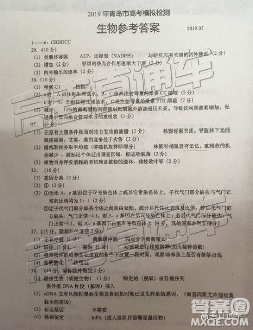 2019年青岛二模理综试题及参考答案 2019年青岛二模理综试题及参考答案
