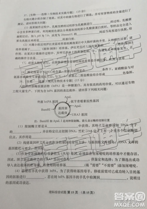 2019年青岛二模理综试题及参考答案 2019年青岛二模理综试题及参考答案
