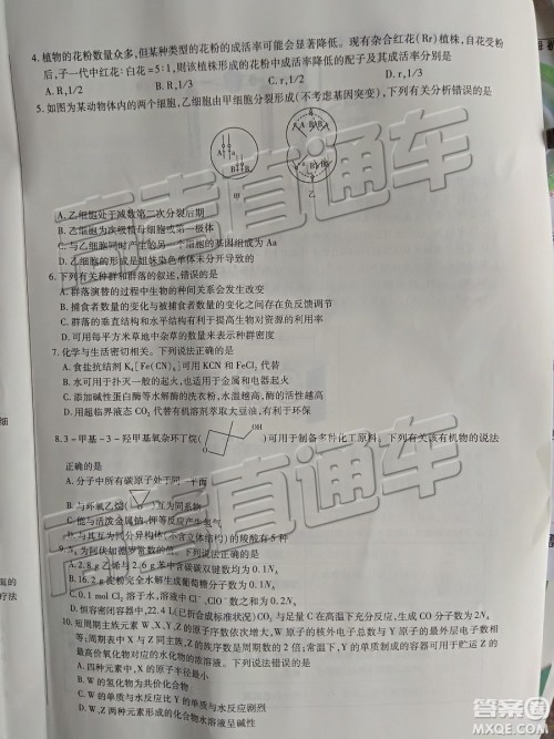 2019年天一大联考高中毕业班阶段性测试六河南H版文理综试题及参考答案