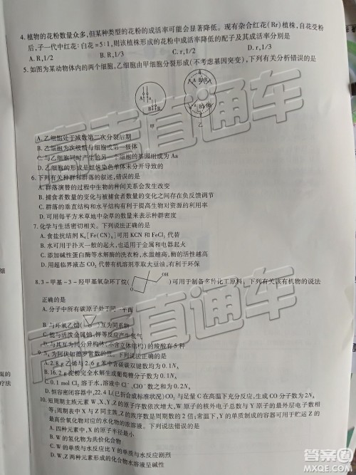 2019年天一大联考高中毕业班阶段性测试六河南H版文理综试题及参考答案 2019年天一大联考高中毕业班阶段性测试六河南H版文理综试题及参考答案