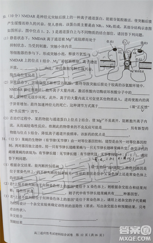 2019年赣州二模文理综试题及参考答案 2019年赣州二模文理综试题及参考答案
