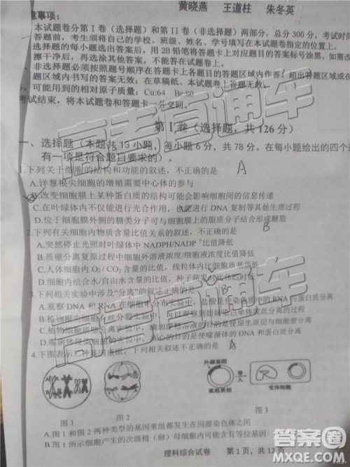 2019年上饶三模文理综试题及参考答案 2019年上饶三模文理综试题及参考答案