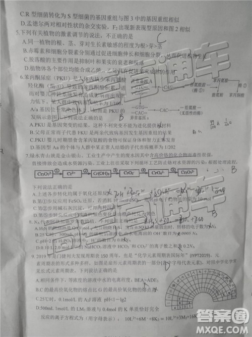 2019年上饶三模文理综试题及参考答案 2019年上饶三模文理综试题及参考答案