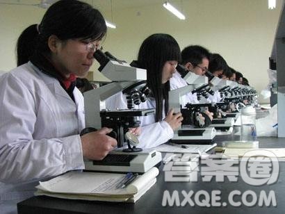 药学类专业都有哪些 大学药学类专业都有什么区别 药学类专业都有哪些 大学药学类专业都有什么区别