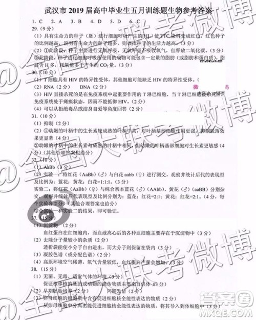 武汉市2019届高中毕业生五月训练题文理综参考答案 武汉市2019届高中毕业生五月训练题文理综参考答案