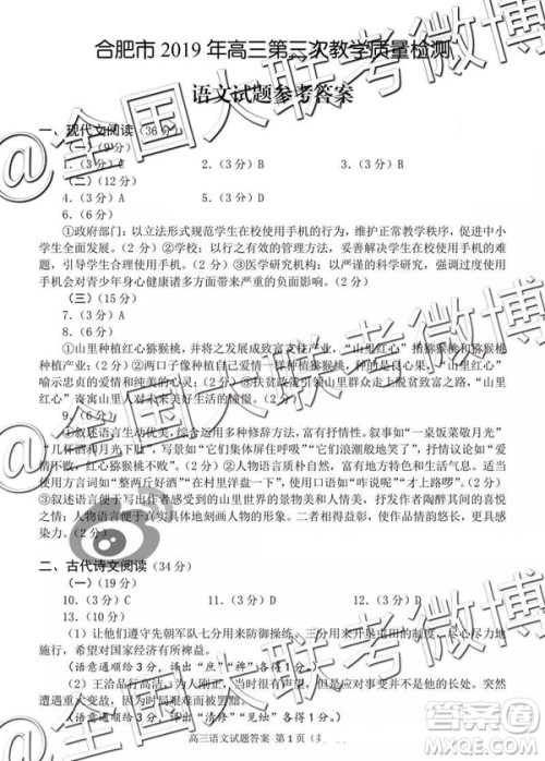 2019年合肥三模语文试题及答案 2019年合肥三模语文试题及答案