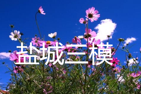 2019年盐城三模英语参考答案