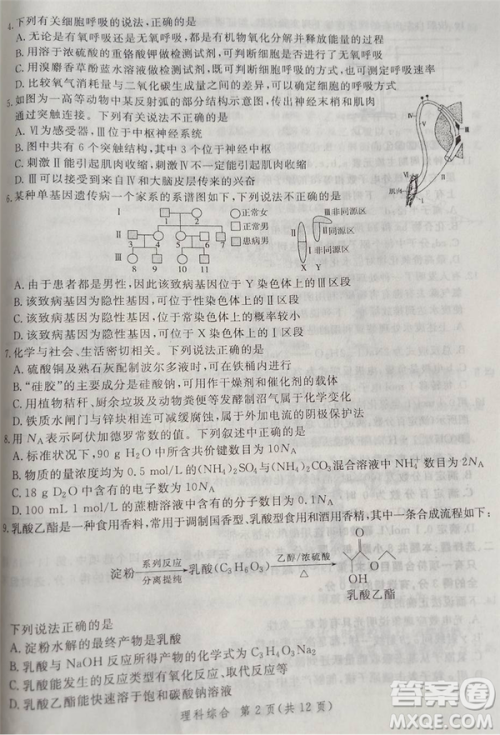2019年5月河南省八市重点高中联盟领军考试理综试题及答案
