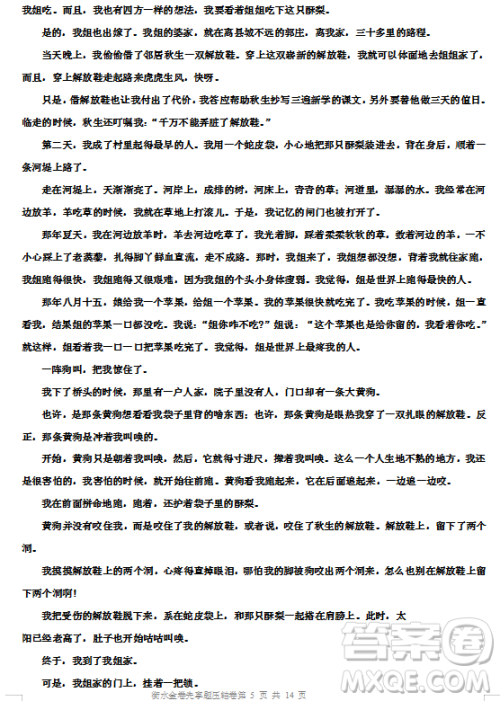 衡水金卷2019年高三第二学期先享题五月压轴卷一语文试题及答案