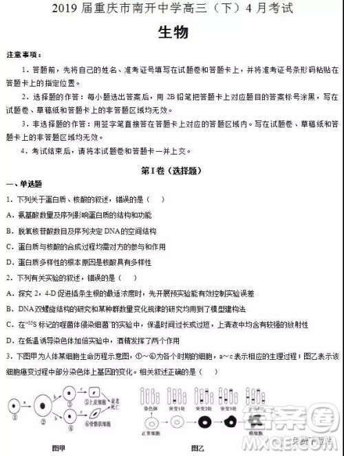 2019年重庆市南开中学高三下学期4月考试生物答案 2019年重庆市南开中学高三下学期4月考试生物答案