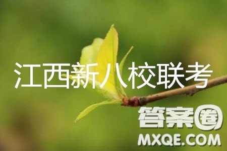 2019年江西省新八校第二次联考文科数学试题及参考答案