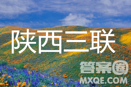 2019年陕西三联英语试题及参考答案 2019年陕西三联英语试题及参考答案