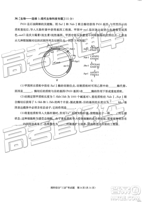 2019年成都三诊文理综参考答案