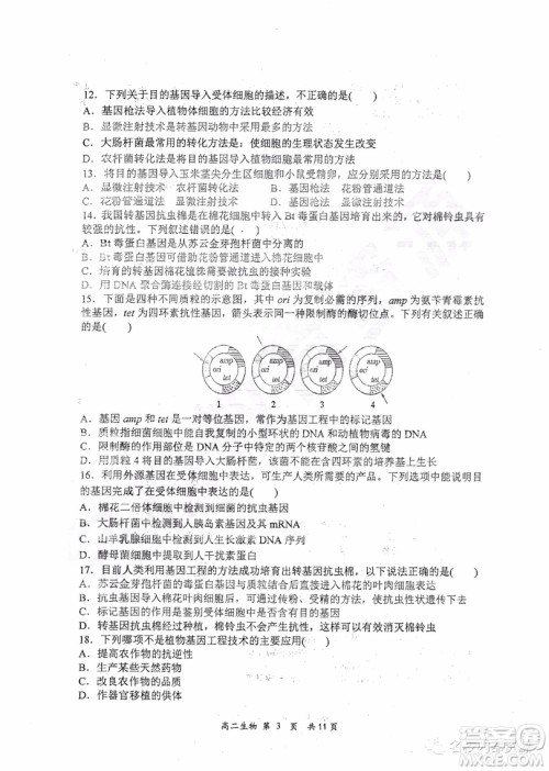 哈三中2018-2019学年度高二下学期第一学段考试理综试卷及答案