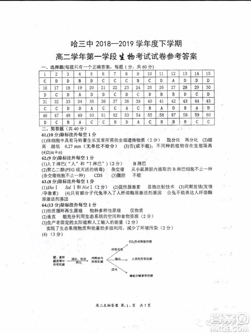 哈三中2018-2019学年度高二下学期第一学段考试理综试卷及答案
